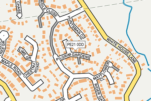 PE21 0DD map - OS OpenMap – Local (Ordnance Survey)