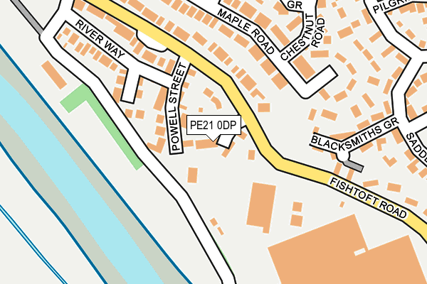 PE21 0DP map - OS OpenMap – Local (Ordnance Survey)