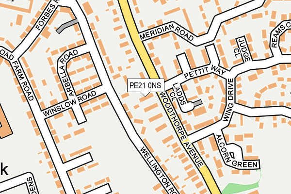 PE21 0NS map - OS OpenMap – Local (Ordnance Survey)