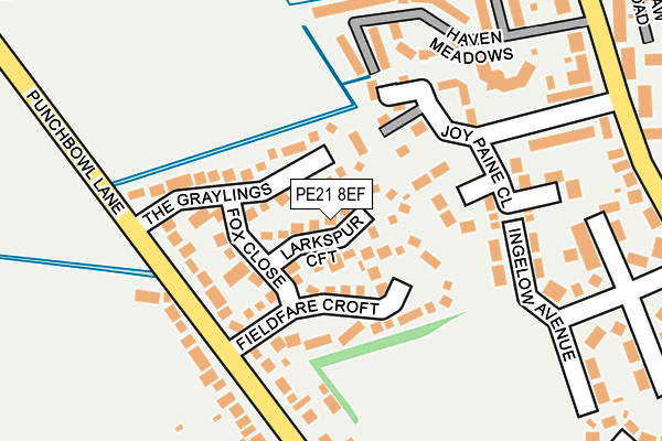 PE21 8EF map - OS OpenMap – Local (Ordnance Survey)