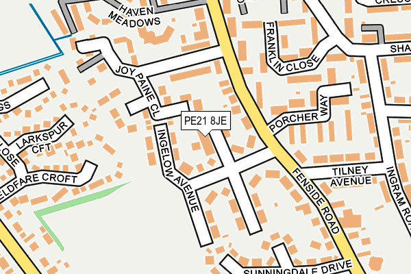 PE21 8JE map - OS OpenMap – Local (Ordnance Survey)