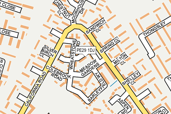 PE29 1DJ map - OS OpenMap – Local (Ordnance Survey)