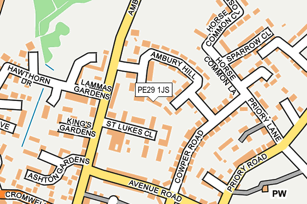 PE29 1JS map - OS OpenMap – Local (Ordnance Survey)