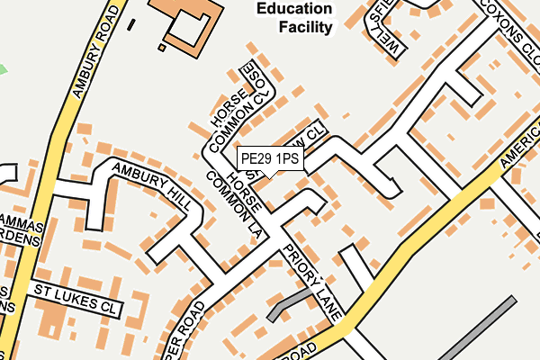 PE29 1PS map - OS OpenMap – Local (Ordnance Survey)