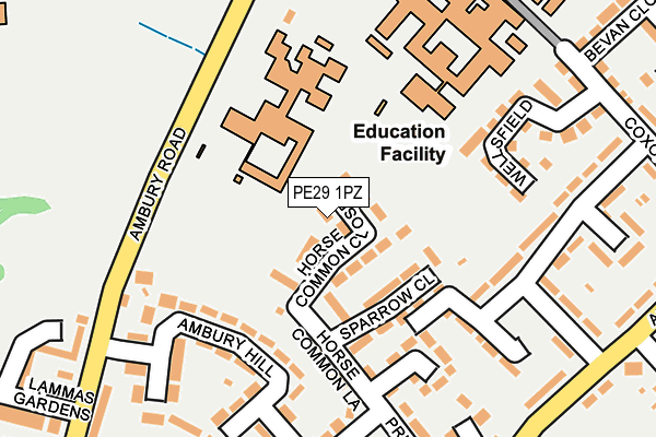 PE29 1PZ map - OS OpenMap – Local (Ordnance Survey)