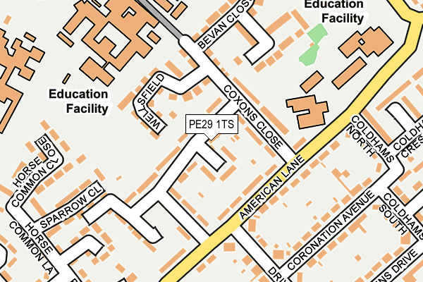 PE29 1TS map - OS OpenMap – Local (Ordnance Survey)