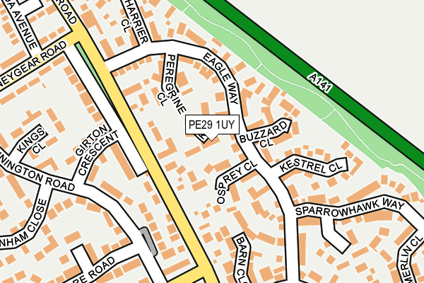 PE29 1UY map - OS OpenMap – Local (Ordnance Survey)