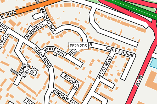 PE29 2DS map - OS OpenMap – Local (Ordnance Survey)