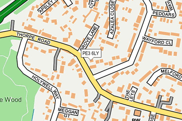 PE3 6LY map - OS OpenMap – Local (Ordnance Survey)