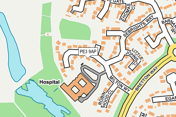 PE3 9AP map - OS OpenMap – Local (Ordnance Survey)
