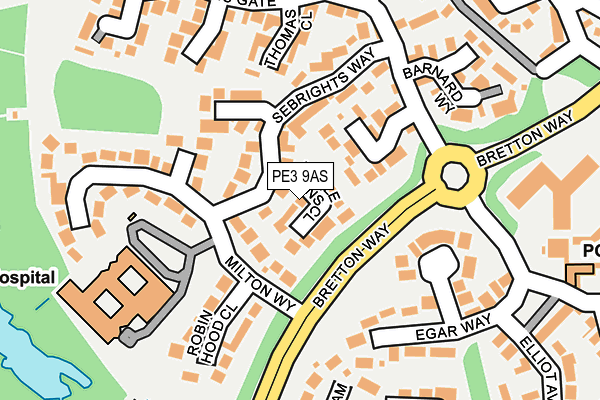 PE3 9AS map - OS OpenMap – Local (Ordnance Survey)