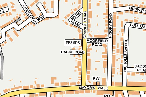 PE3 9DS map - OS OpenMap – Local (Ordnance Survey)