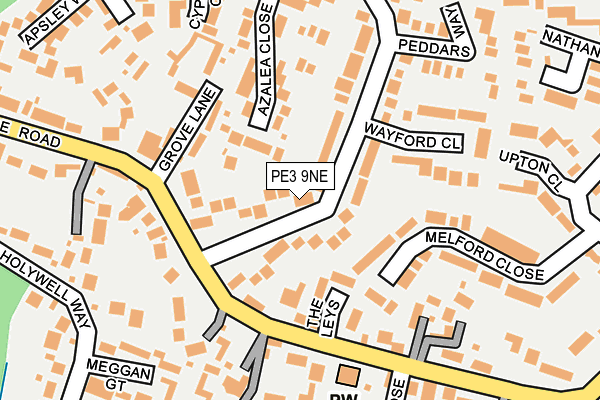 PE3 9NE map - OS OpenMap – Local (Ordnance Survey)