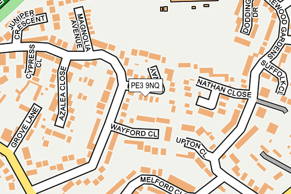 PE3 9NQ map - OS OpenMap – Local (Ordnance Survey)