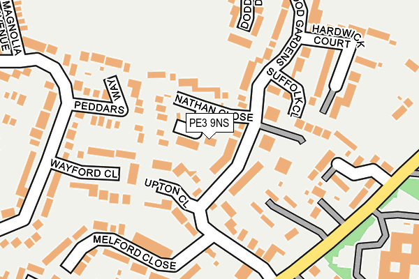 PE3 9NS map - OS OpenMap – Local (Ordnance Survey)