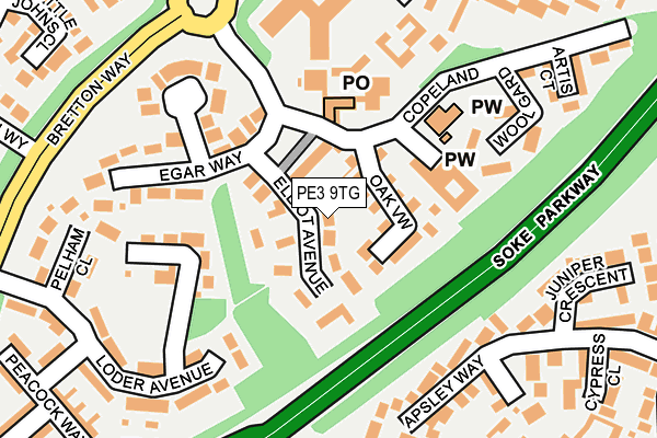 PE3 9TG map - OS OpenMap – Local (Ordnance Survey)