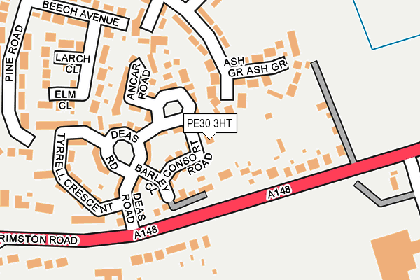 PE30 3HT map - OS OpenMap – Local (Ordnance Survey)
