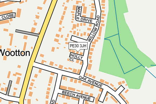 PE30 3JH map - OS OpenMap – Local (Ordnance Survey)