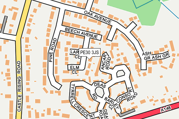 PE30 3JS map - OS OpenMap – Local (Ordnance Survey)