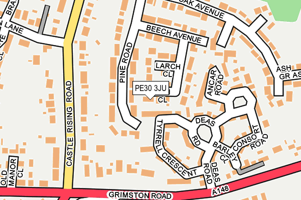 PE30 3JU map - OS OpenMap – Local (Ordnance Survey)
