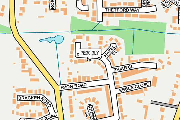 PE30 3LY map - OS OpenMap – Local (Ordnance Survey)