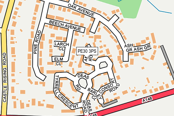 PE30 3PS map - OS OpenMap – Local (Ordnance Survey)