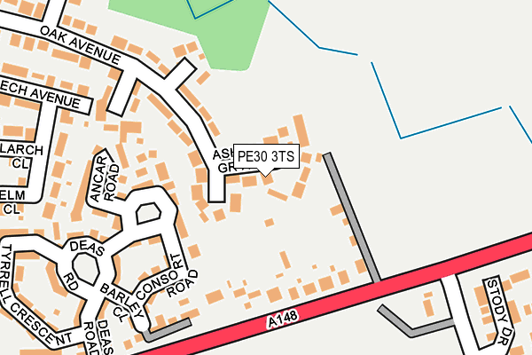 PE30 3TS map - OS OpenMap – Local (Ordnance Survey)