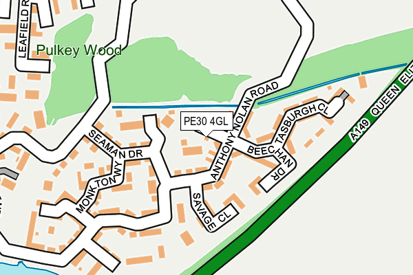 PE30 4GL map - OS OpenMap – Local (Ordnance Survey)