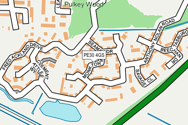 PE30 4GS map - OS OpenMap – Local (Ordnance Survey)