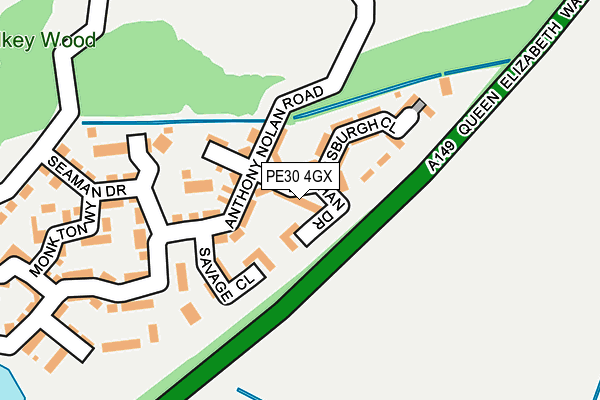 PE30 4GX map - OS OpenMap – Local (Ordnance Survey)