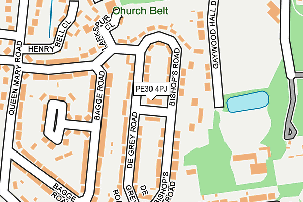 PE30 4PJ map - OS OpenMap – Local (Ordnance Survey)