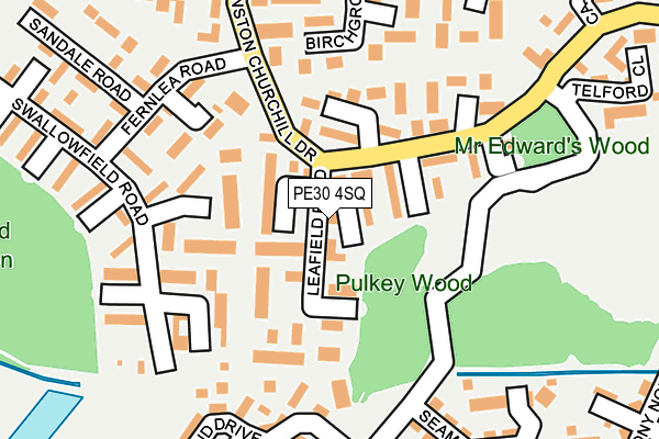 PE30 4SQ map - OS OpenMap – Local (Ordnance Survey)