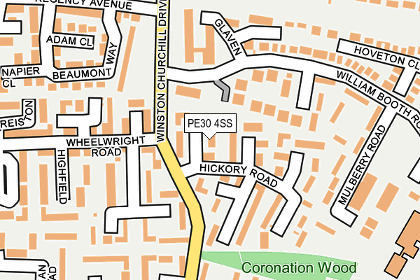 PE30 4SS map - OS OpenMap – Local (Ordnance Survey)