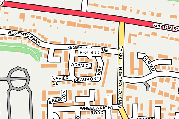 PE30 4UD map - OS OpenMap – Local (Ordnance Survey)