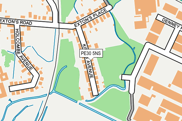 PE30 5NS map - OS OpenMap – Local (Ordnance Survey)