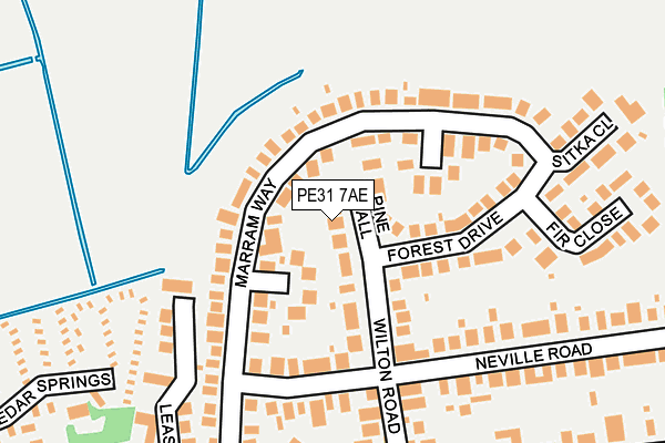 PE31 7AE map - OS OpenMap – Local (Ordnance Survey)