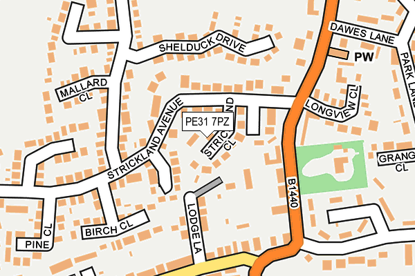 PE31 7PZ map - OS OpenMap – Local (Ordnance Survey)