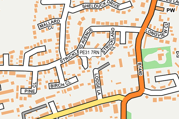 PE31 7RN map - OS OpenMap – Local (Ordnance Survey)