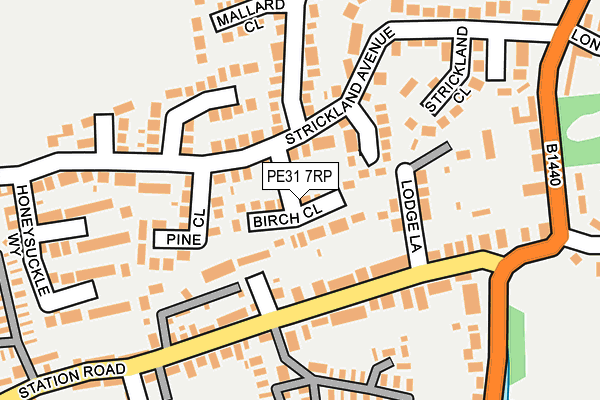 PE31 7RP map - OS OpenMap – Local (Ordnance Survey)