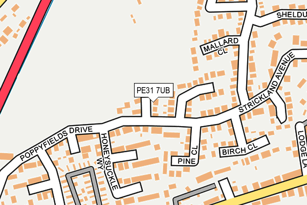 PE31 7UB map - OS OpenMap – Local (Ordnance Survey)