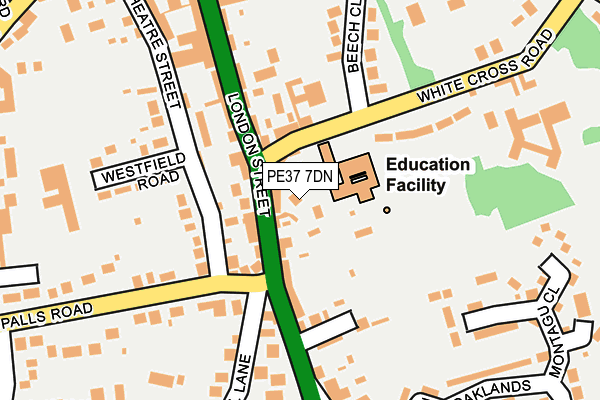 PE37 7DN map - OS OpenMap – Local (Ordnance Survey)