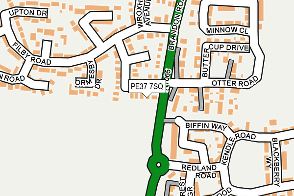 PE37 7SQ map - OS OpenMap – Local (Ordnance Survey)