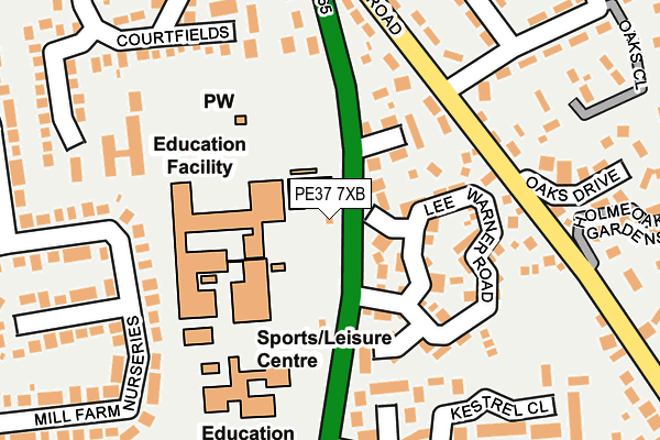 PE37 7XB map - OS OpenMap – Local (Ordnance Survey)