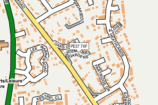 PE37 7XF map - OS OpenMap – Local (Ordnance Survey)
