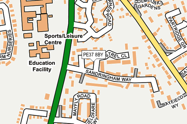 PE37 8BY map - OS OpenMap – Local (Ordnance Survey)