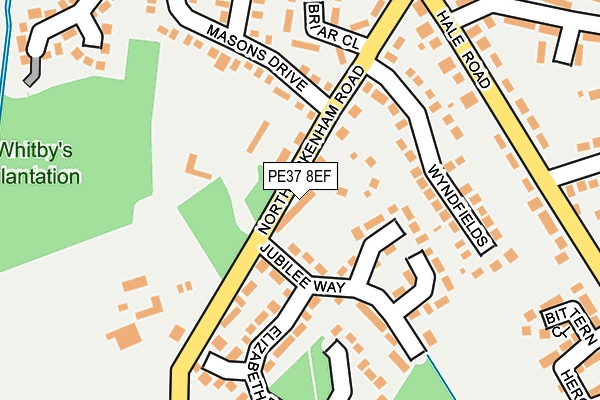 PE37 8EF map - OS OpenMap – Local (Ordnance Survey)