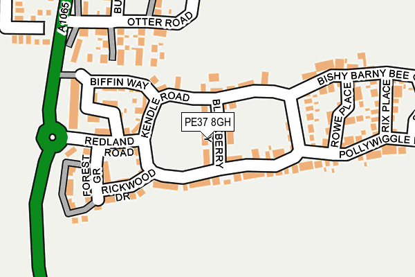 PE37 8GH map - OS OpenMap – Local (Ordnance Survey)