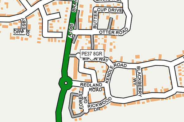 PE37 8GR map - OS OpenMap – Local (Ordnance Survey)