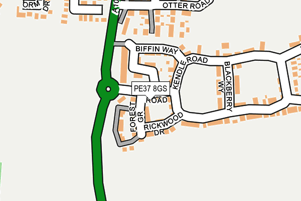 PE37 8GS map - OS OpenMap – Local (Ordnance Survey)