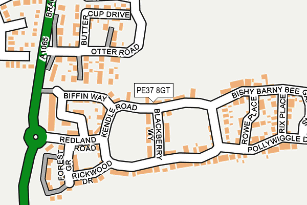 PE37 8GT map - OS OpenMap – Local (Ordnance Survey)